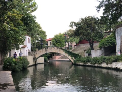 trees beside bridge and calm body of water