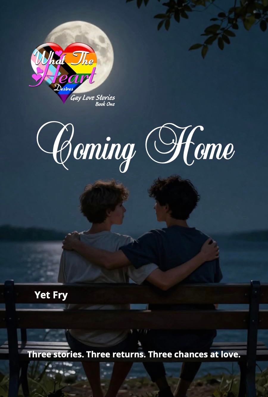 Coming Home Book Cover