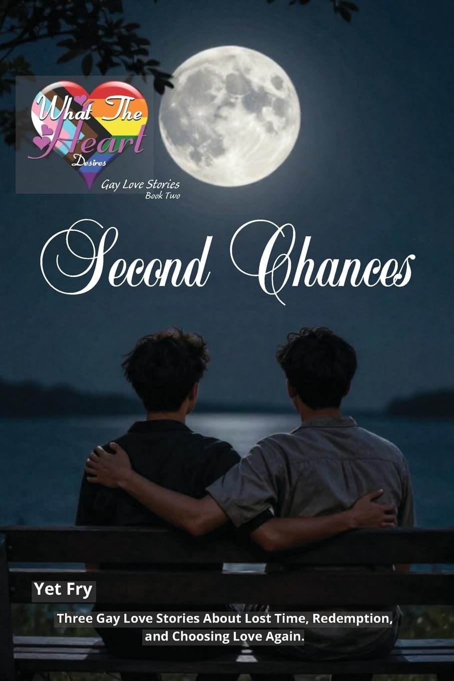Second Chances Book Cover